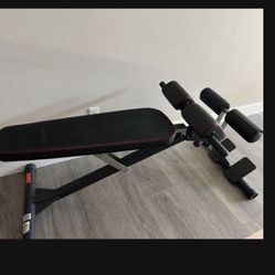 Exercise Bench