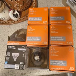 LED LIGHT BULBS