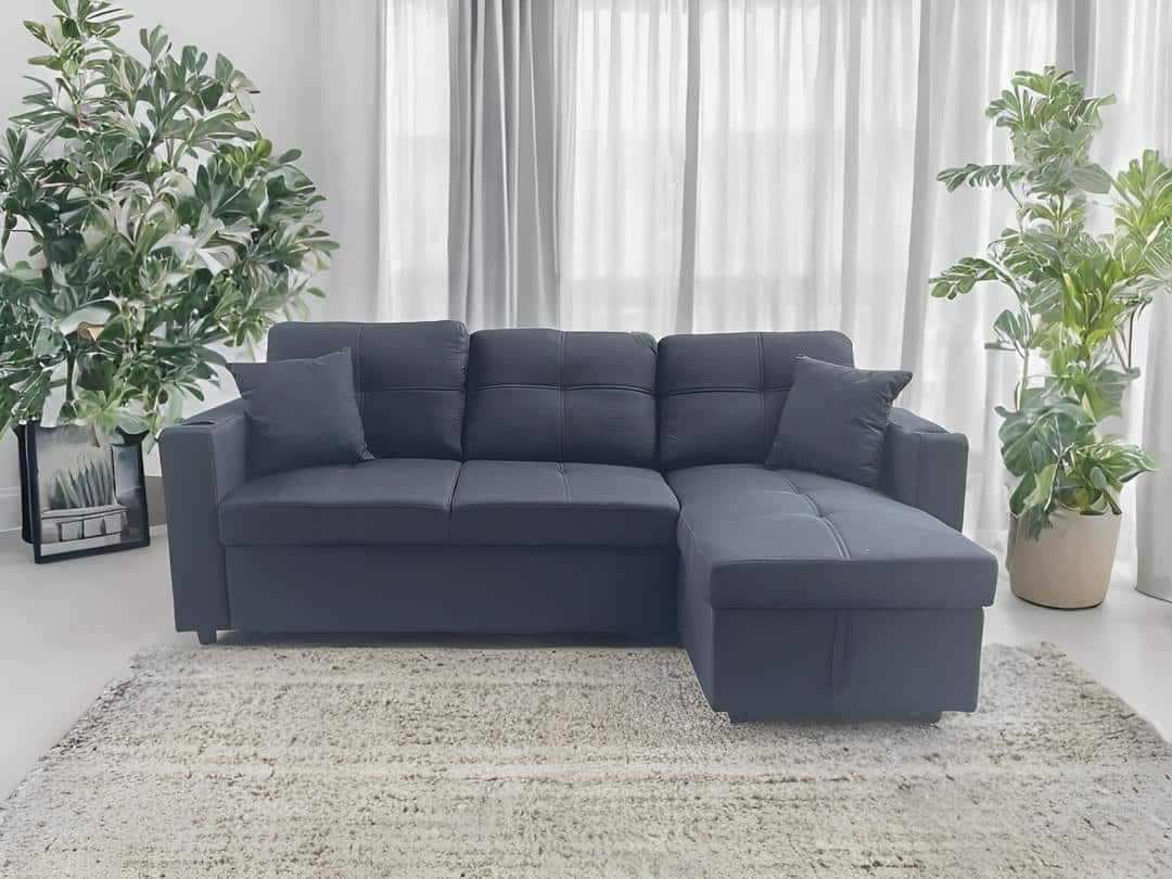 Sleeper Sofa ***** Sofacama 