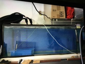 Aquarium 55 g