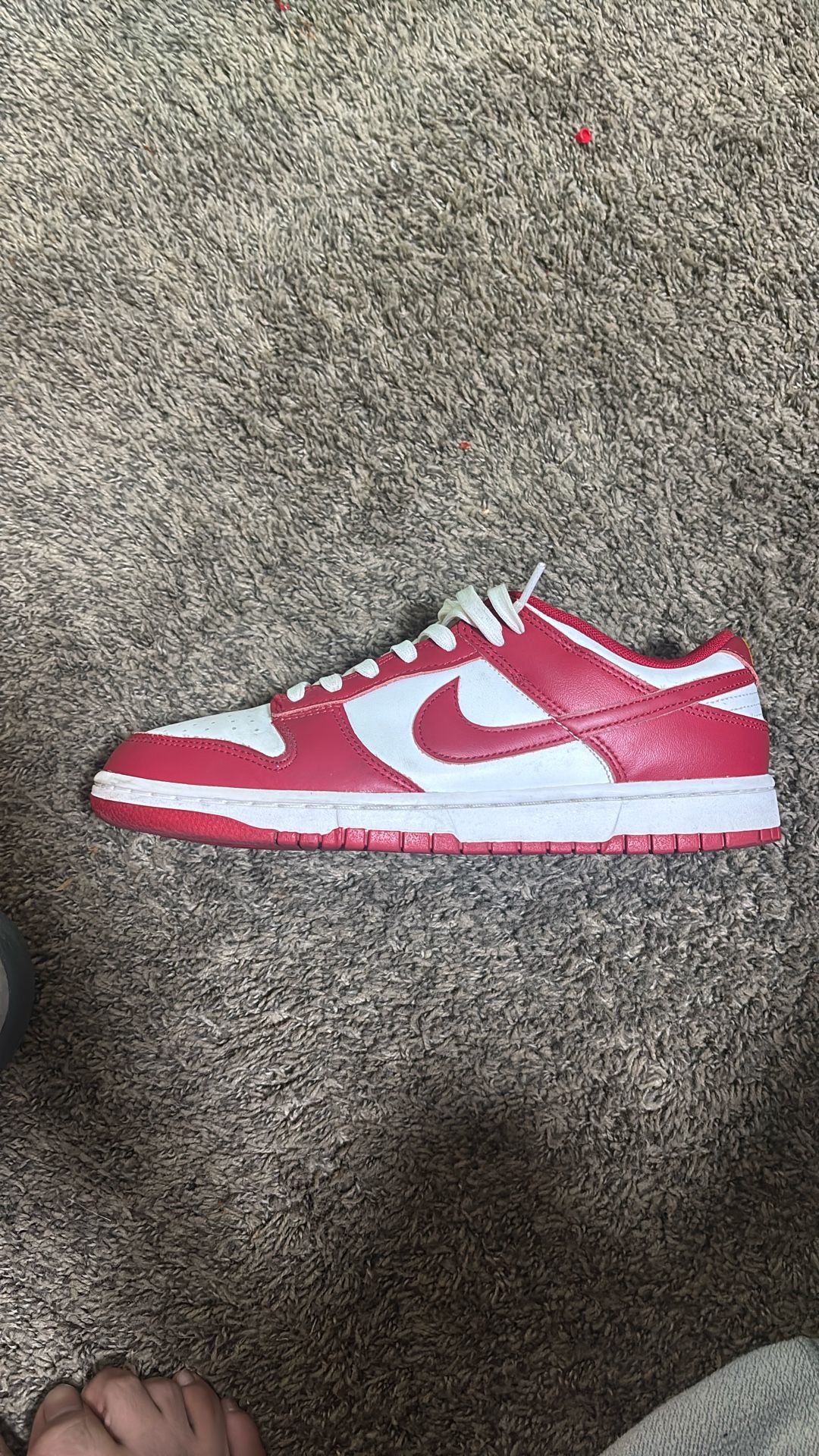Nike Red Dunks