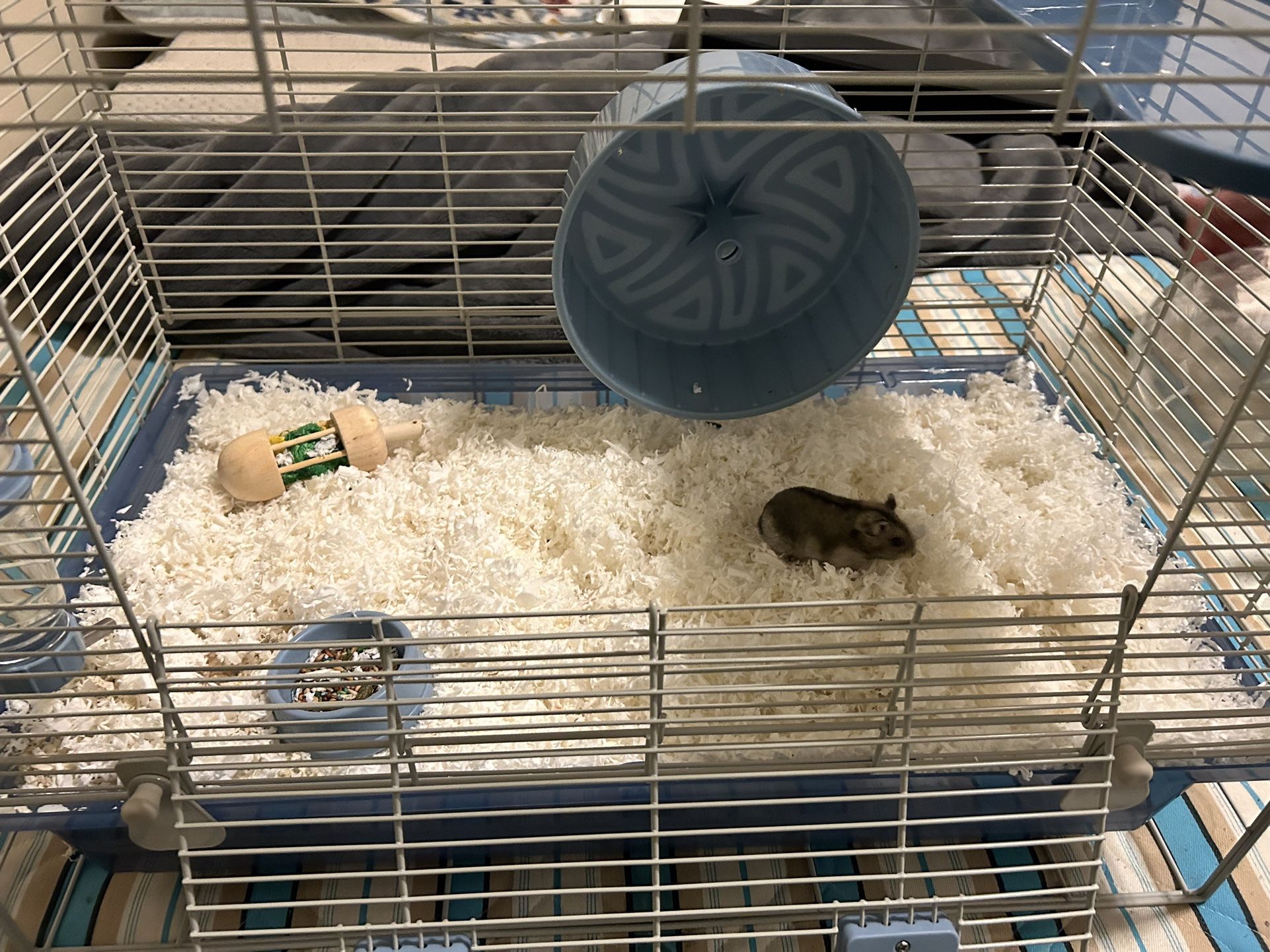 Hamster Cage Starting Kit 