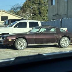 1977 Pontiac Firebird