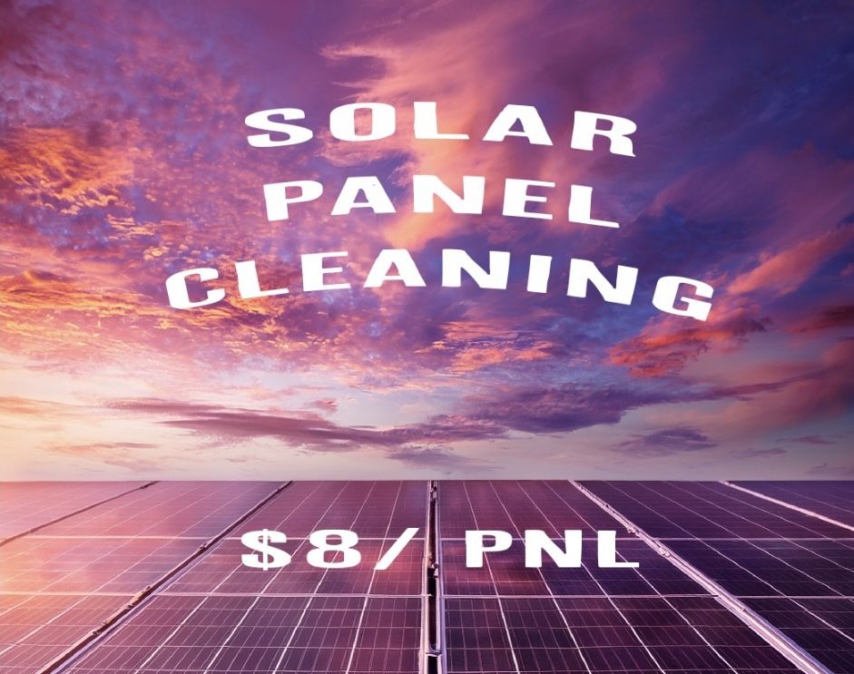 Solar Panel Cleaning