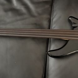Rogue Series III Fretless Bass