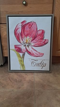 Tulip Photo