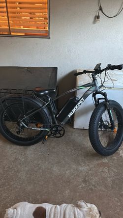 Mukkpet 1500 watt e-bike