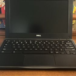 Dell Chrome book works great