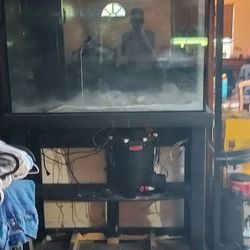 90 Gallon Fish Aquarium 