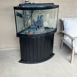 Fish Tank 