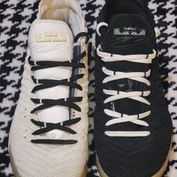 Nike Lebron 16 Equality