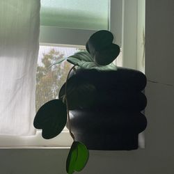 Plant/ Candle Holder Or Other 