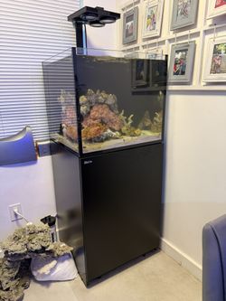 Red Sea 200 G2 Reefer Aquarium Saltwater Fishtank