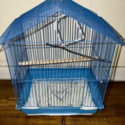 Bird Cage 