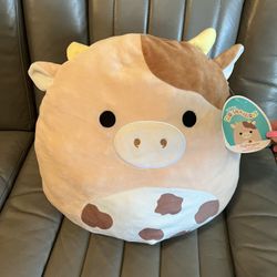 Squishmallow Nightingale the Cow 14” RARE NWT