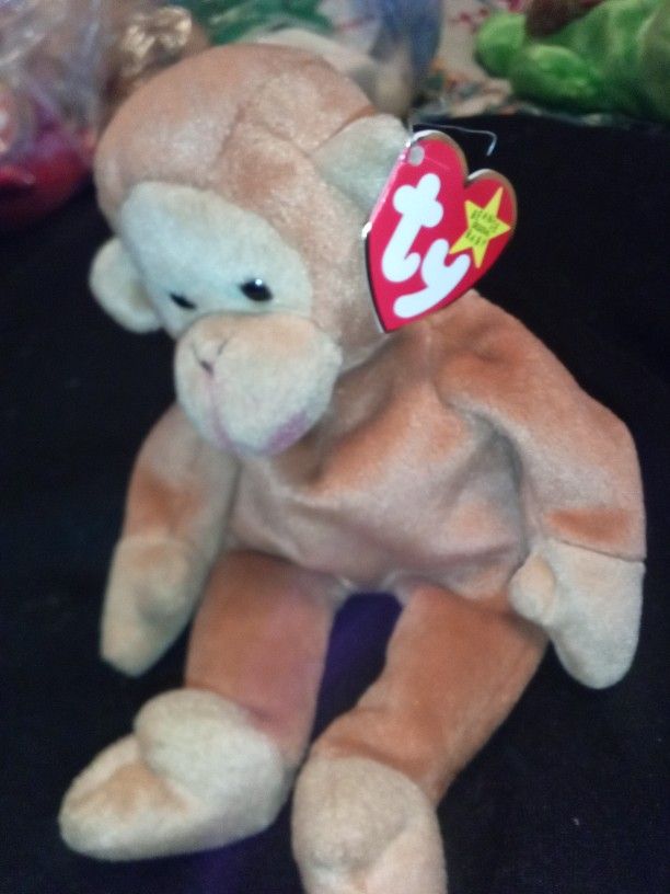 Beanie Babies Asking 20$ Each All Are In Mint Condition And Well Kept In Plastic