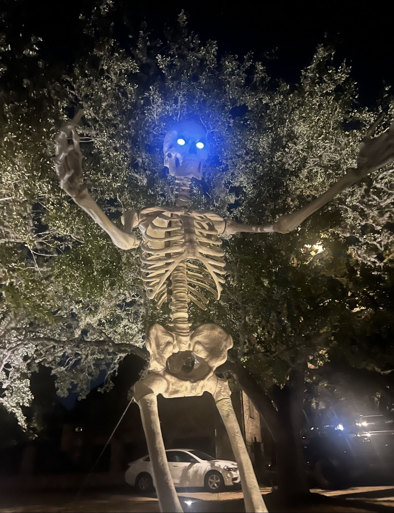 Viral 12 ft skeleton