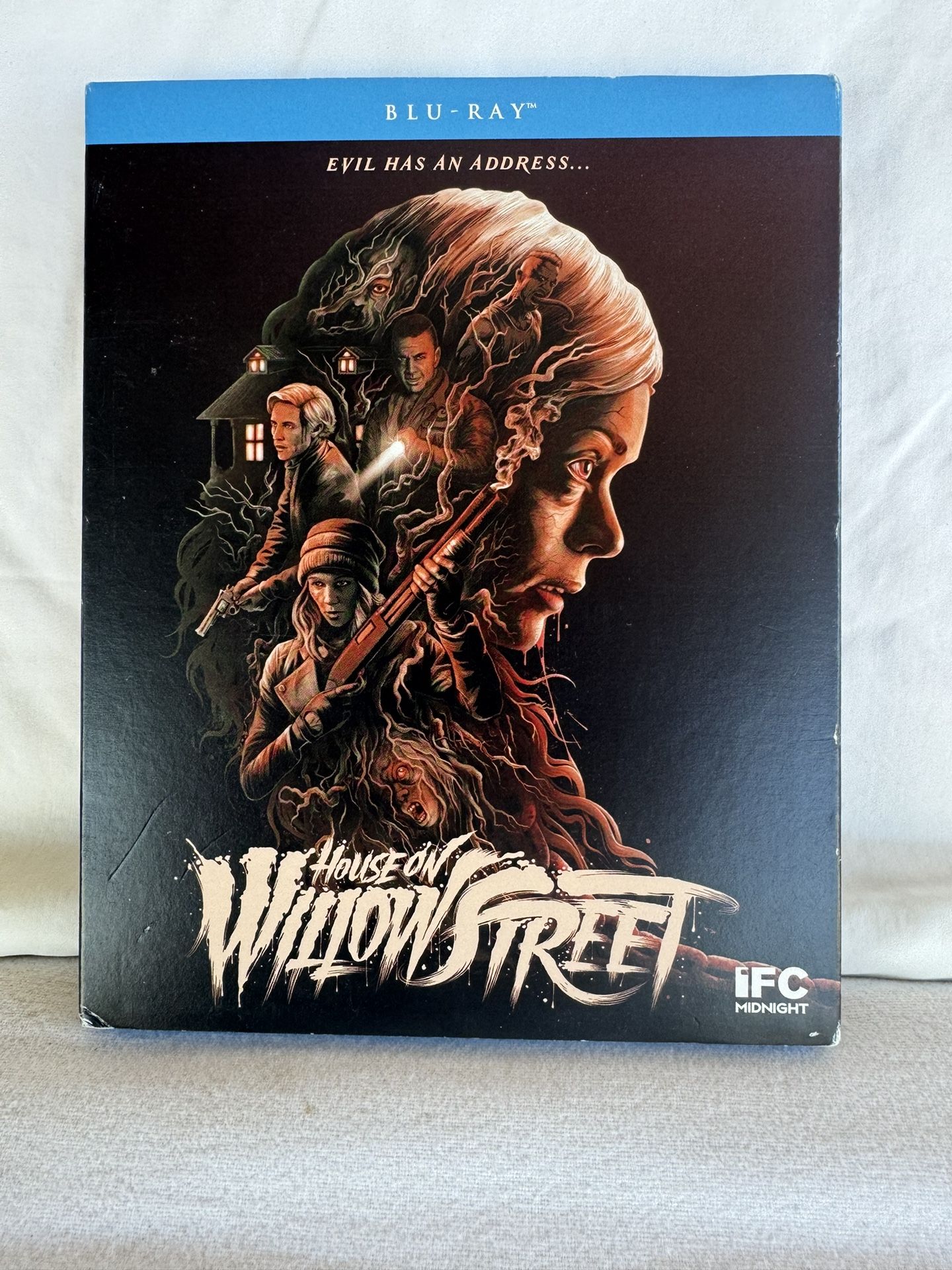 House on Willow Street Blu-ray DVD