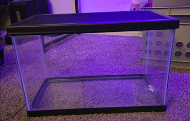 5.5 gallon terrarium