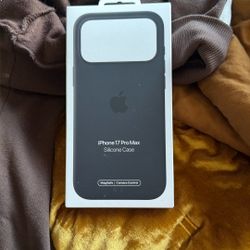 iPhone 17 Pro max Phone Case 