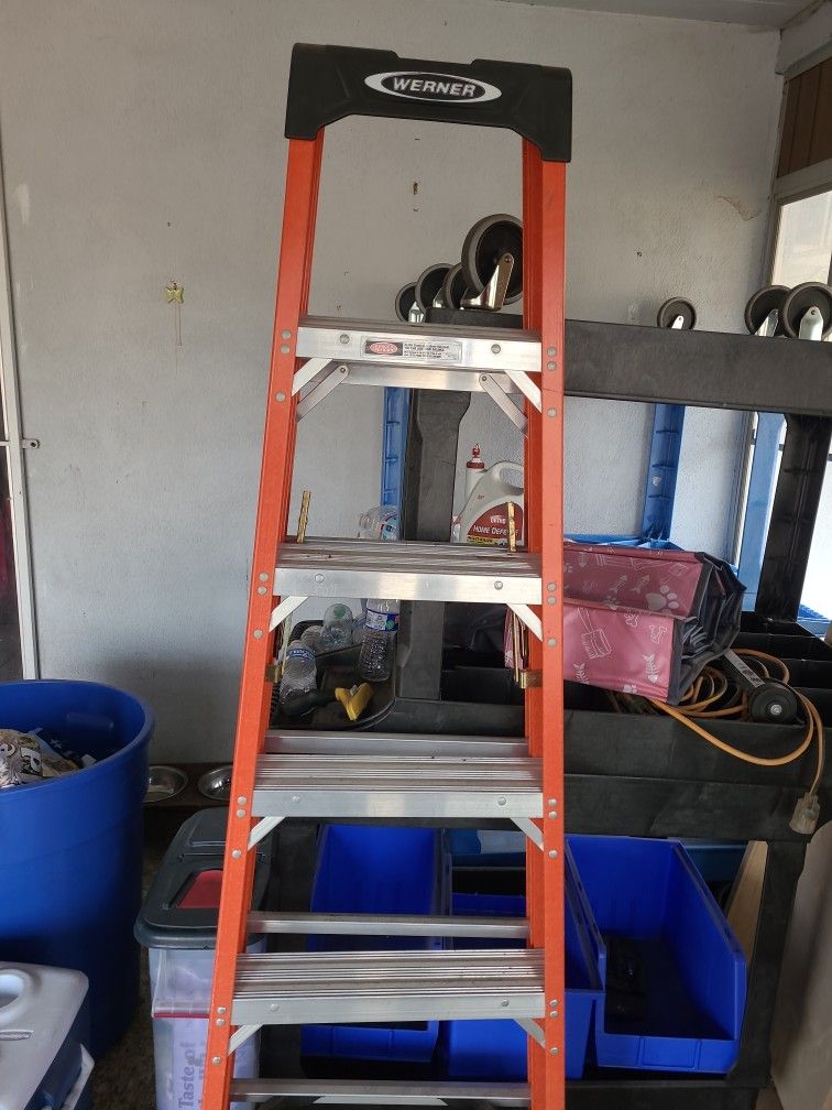 Werner 6' Ladder