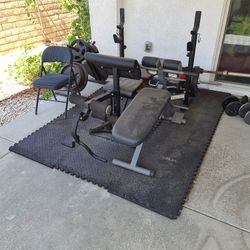 Workouts Oylimbic bar,weights, dumbbells 