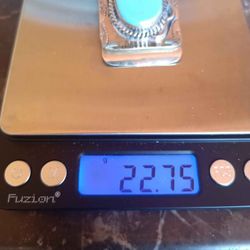 Silver And Turquoise Money Clip