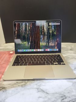 Apple a1 a3113
