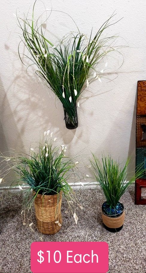 Boho Floral Arrangements $20 for ALL