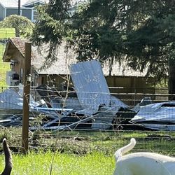 Steel Scrap Free