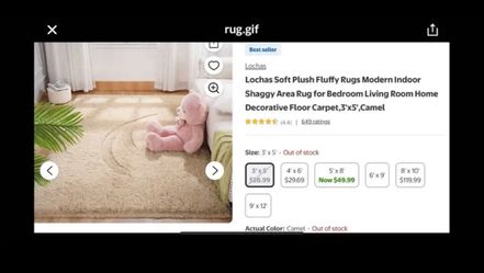 3 x 5 area rug