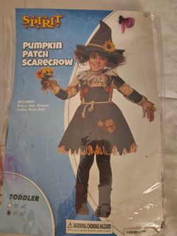 Pumpkin Patch Scarecrow
