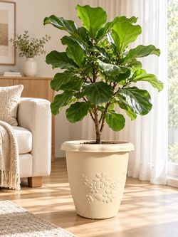 Decorative Flower Planters – Beige & Terracotta 🌿