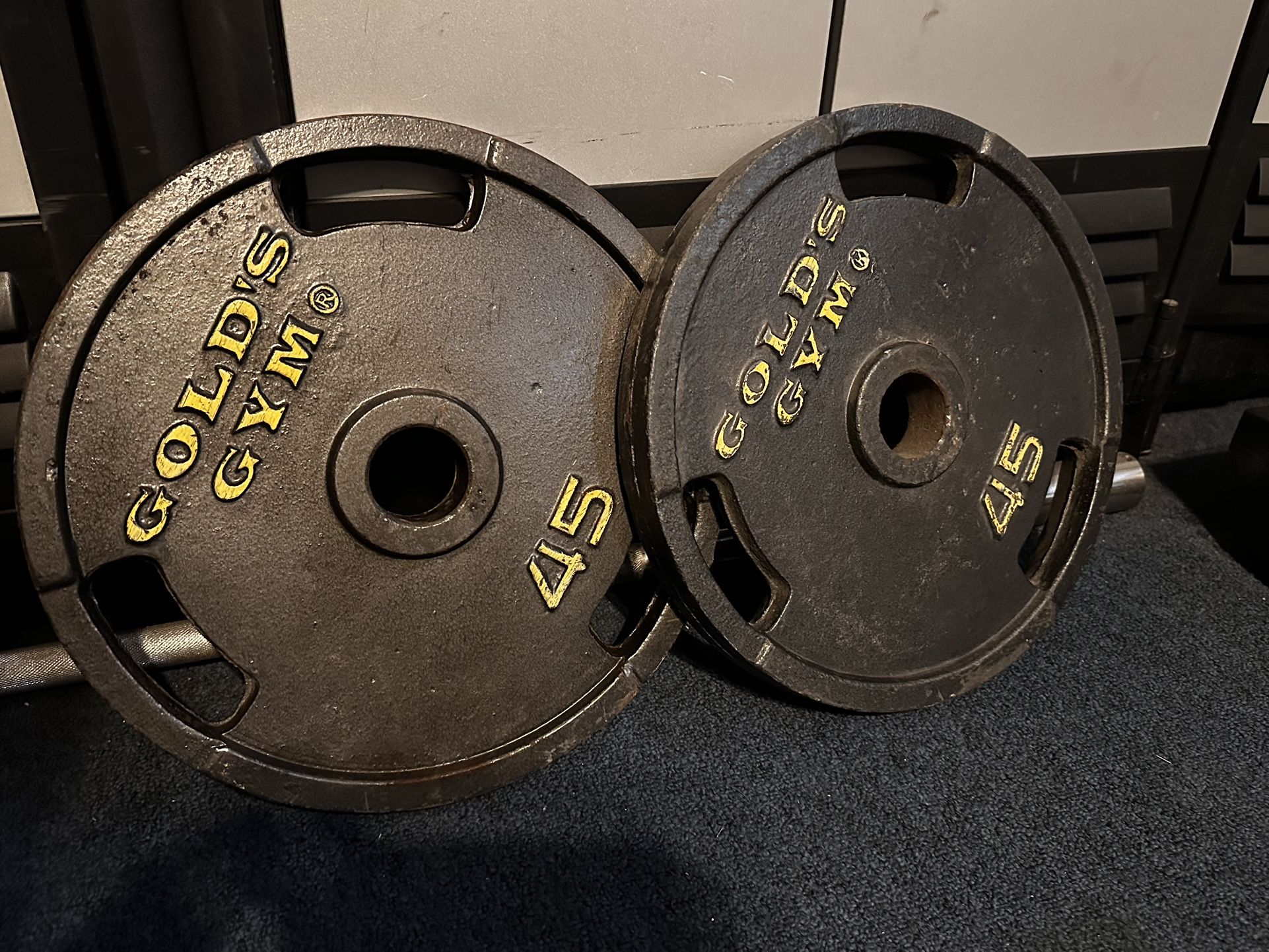 Golds Gym 45lb Weights