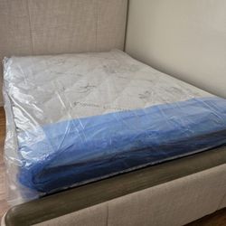 Single Twin Mattress 99 Full Double 159 Queen Bed 179 King 229 California King 229 Frame 69 XL Twin Mattresses All Sizes Available Se Habla Espanol 