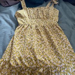 Dress And Skirt Bundle 