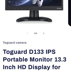 ToGuard D133 Monitor