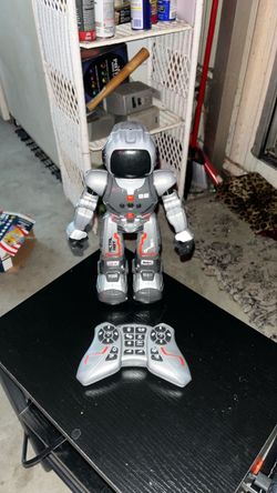 Robot
