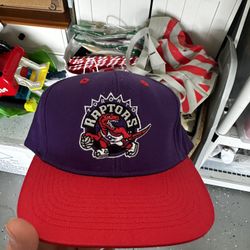 Raptors Hat