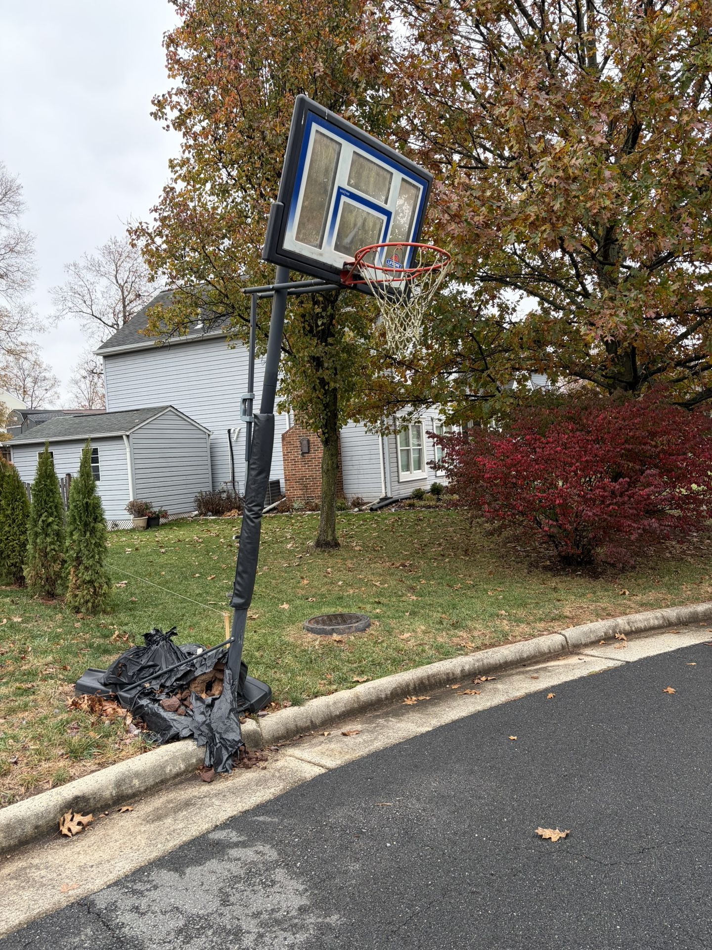 Basketball hoop