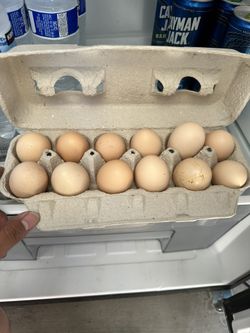 Home Grown Eggs
