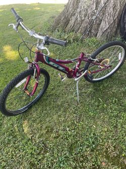 GT Flame bike 24” Please Read