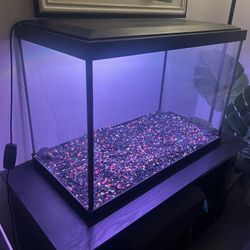 GloFish Aquarium (20 Gallon)