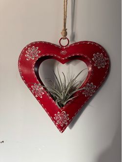 Metal Heart perfect for Succulent or Air Plant see details