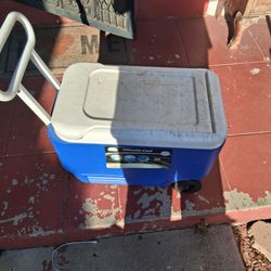 Igloo Cooler