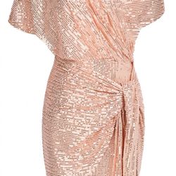 Plus Size Sequin Dress