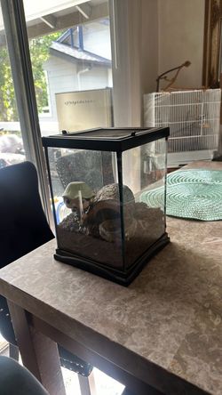 Glass Tank