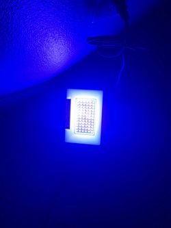 Led black lights