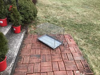 Small dog crate - single door