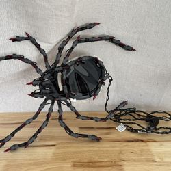 Light Up Spider